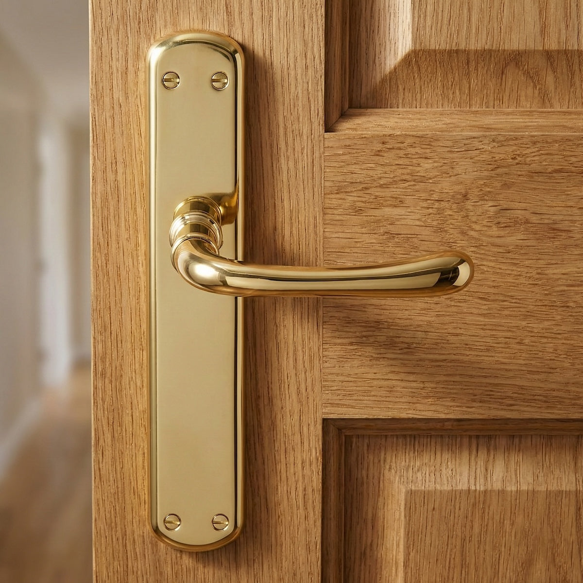 Maniglia modello '6501' in zama finitura oro lucido con placca ovale per porte