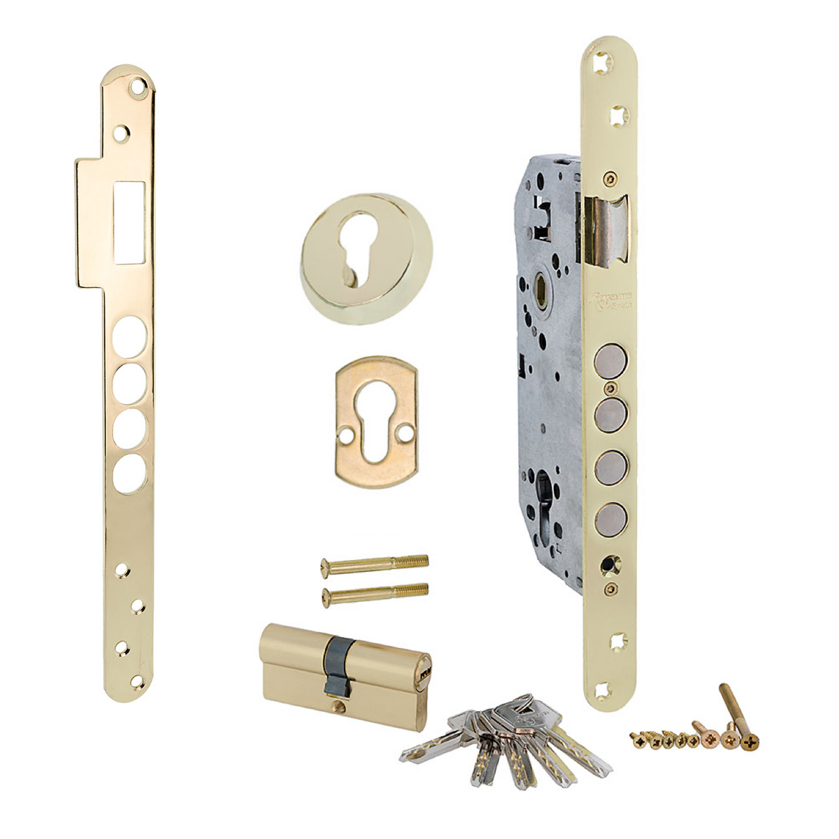 Serratura di sicurezza da 50mm a bordo tondo con 4 chiavistelli in acciaio finitura dorata lucida