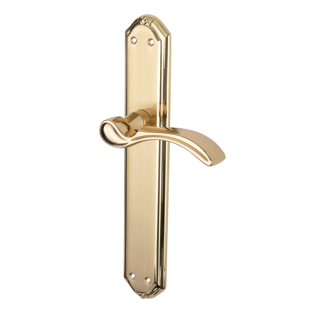 Maniglia in ottone rustico finitura oro lucido con placca curva per porte modello '2011'