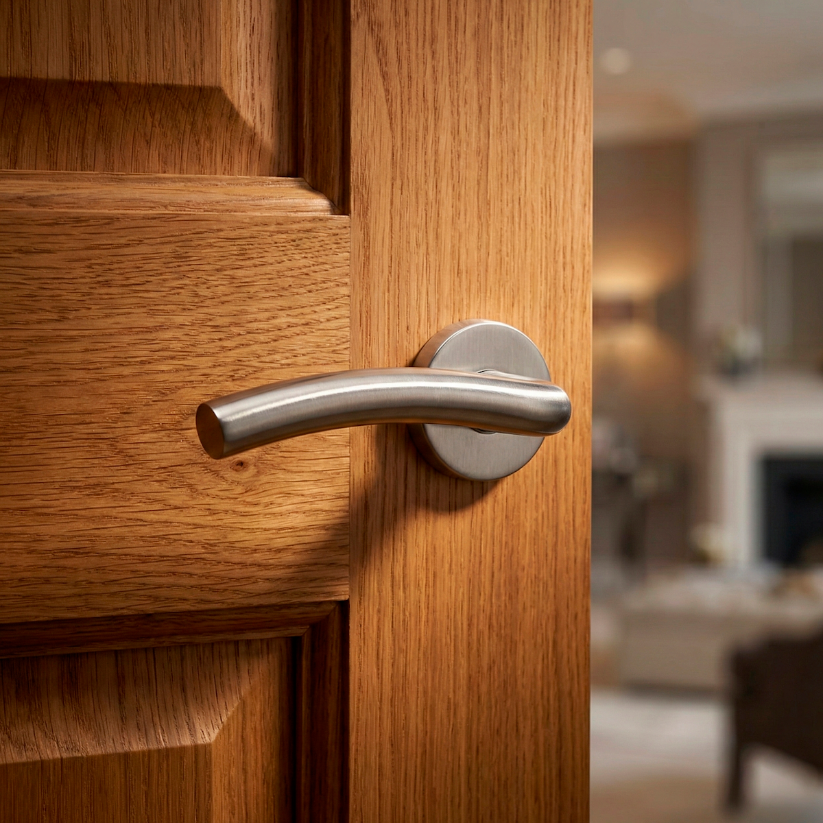 Maniglia Ares con rosetta tonda in acciaio inox per porte
