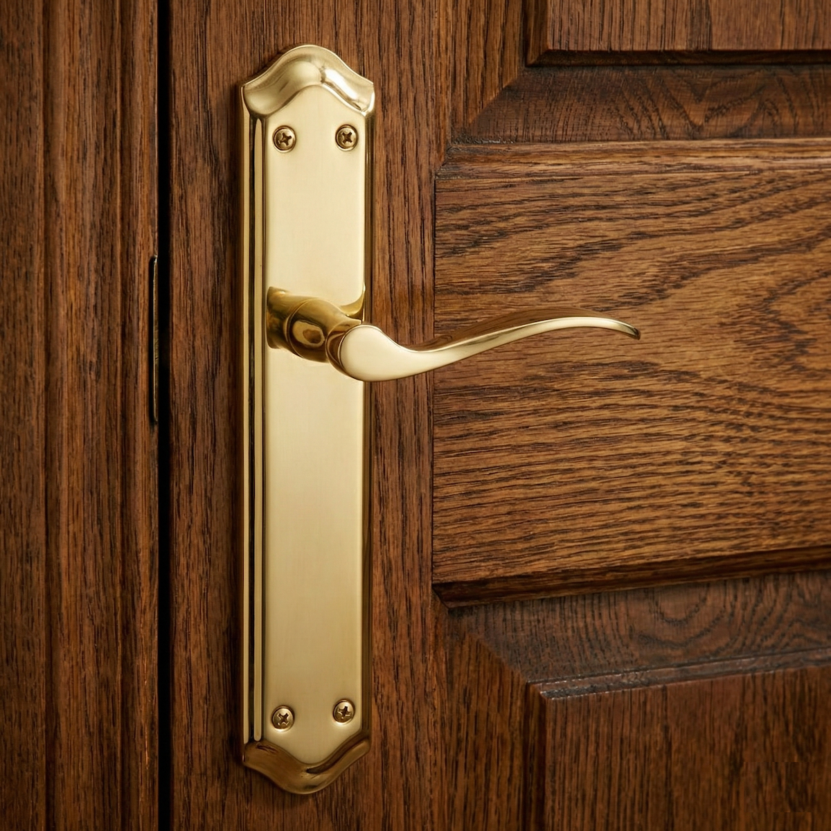 Maniglia MASTER finitura oro satinato con placca ovale curva per porte