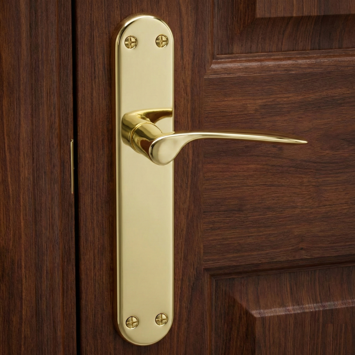 Maniglia con placca ovale in ottone finitura dorata modello Pep per porte
